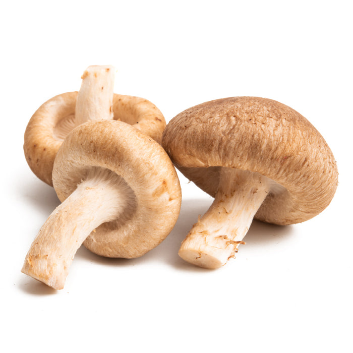 生椎茸1パック