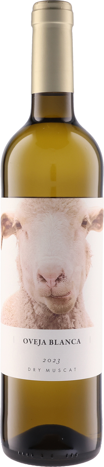 オベハ・ブランカ